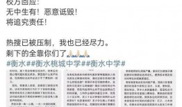 衡水桃中最新爆料,揭秘校园风云背后的真相