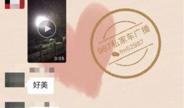 爆料冷冷的视频,爆料背后真相大起底